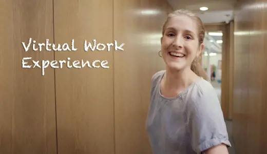 Virtual Work Experience