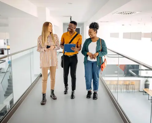 The online career network quick fire activity