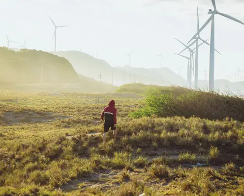 Sustainability, business and entrepreneurship